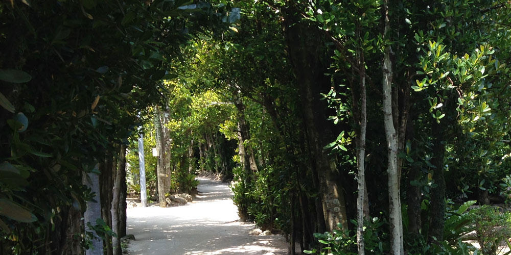 沖縄北部エリア