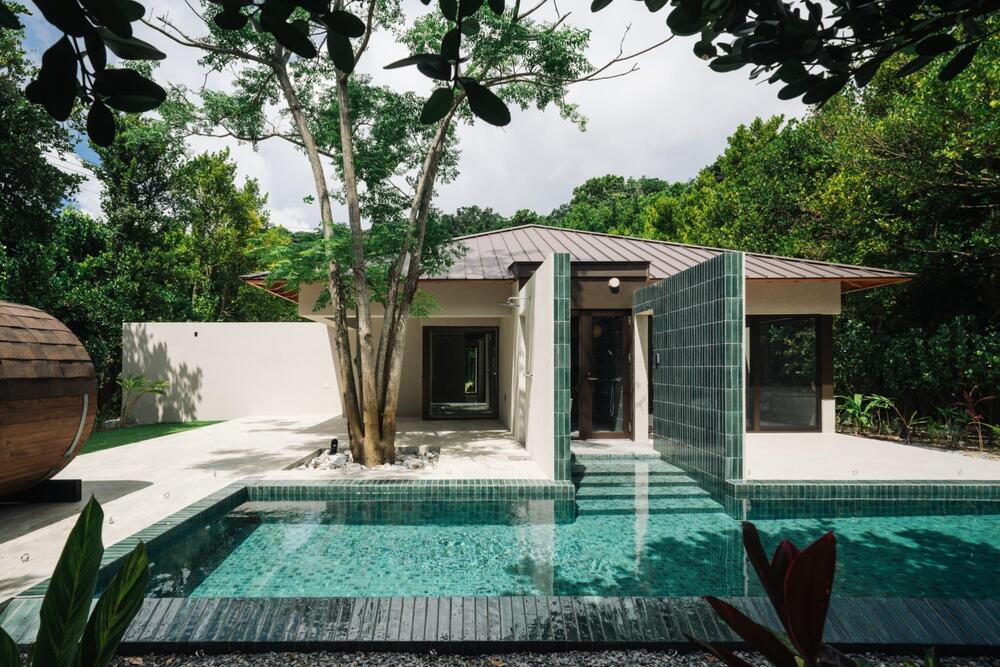 沖縄収益不動産の成長戦略：高収益を追求する宿泊事業（簡易宿泊・民泊）の機会とリスク