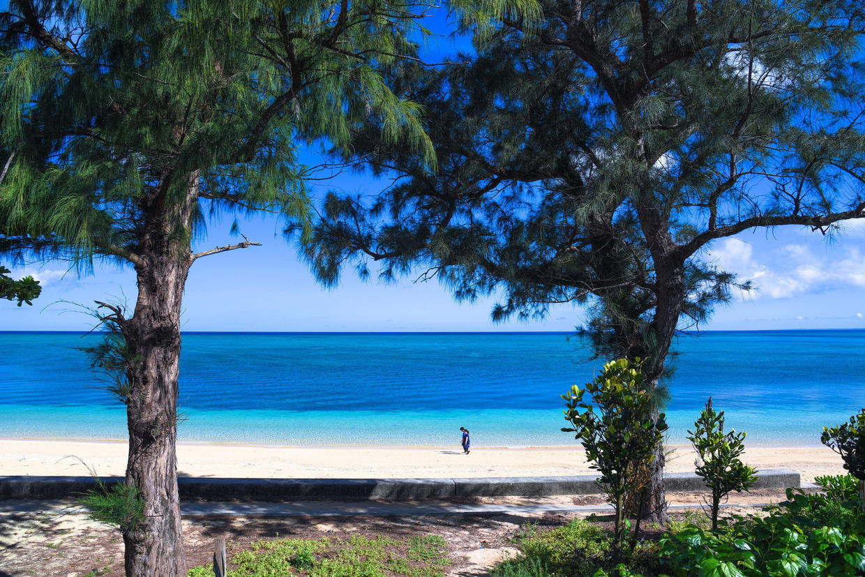 Okinawa Main Island Onnason Nakama Ocean Front 6LDK Luxury Villa