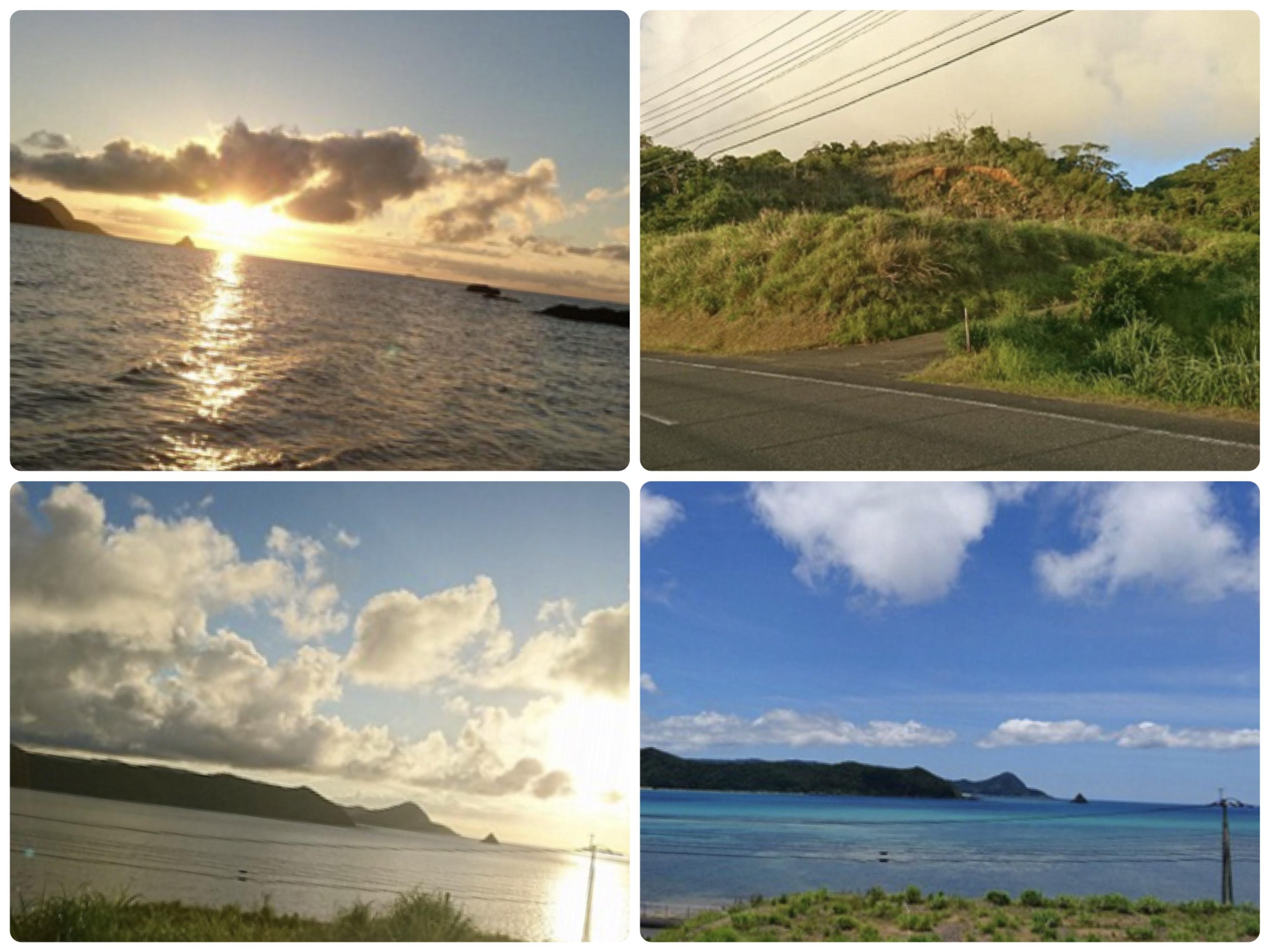 Amami Island, Land of Awe-Inspiring