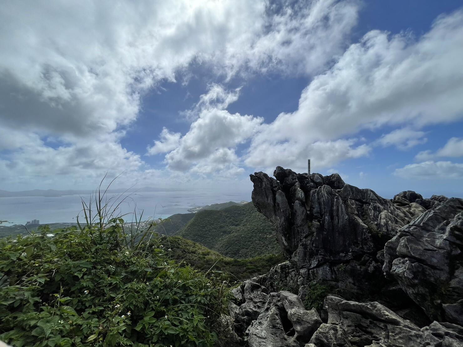 【Ocean View Land】名護市勝山 約5,949坪 高台から名護湾を望む大型不動産