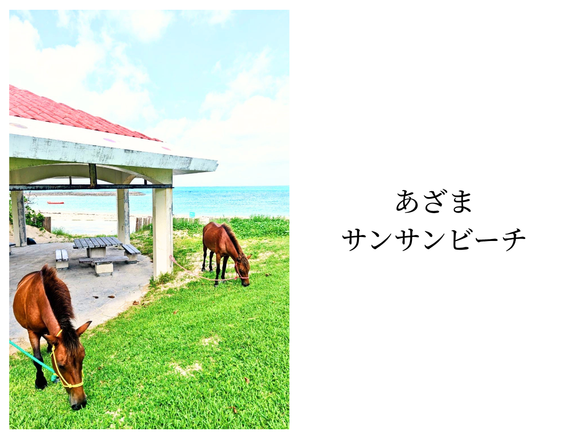 旅館業取得可。民泊・宿泊施設・ヴィラ運営にも。 守礼カントリークラブまで車で1分。建築家が設計したデザイナーズ平屋一戸建て