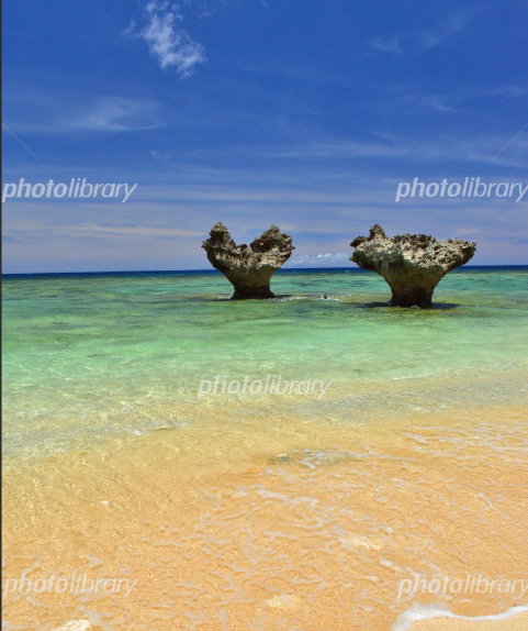 今話題の北部／古宇利にオーナーチェンジ収益物件でました！