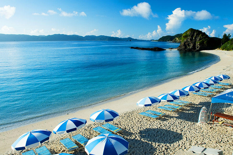 座間味島　収益　Zamami Island Small Hotel　限定公開